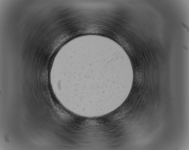X0000094800534200712141655