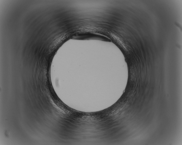 X0000094800538200712141655