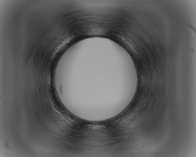 X0000094800539200712141655