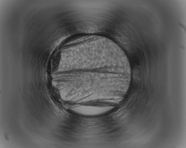 X0000094800540200712141655