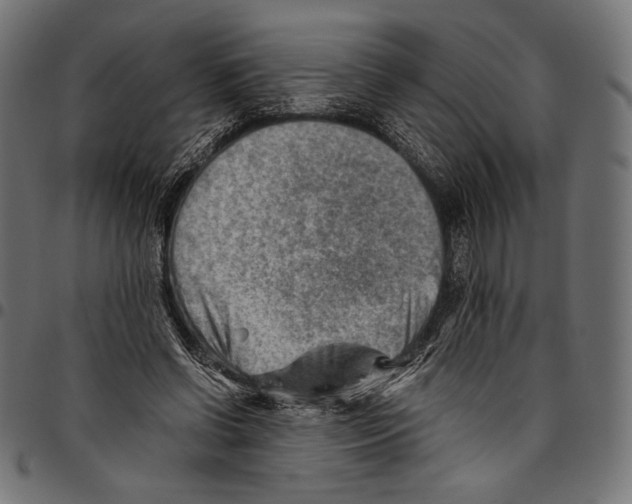 X0000094800542200712141655