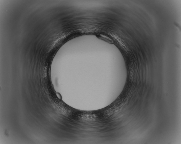 X0000094800543200712141655