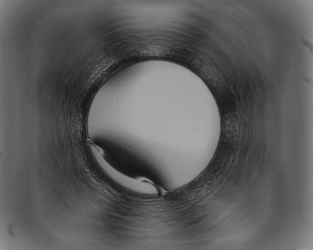 X0000094800544200712141655