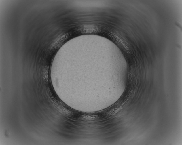 X0000094800545200712141655