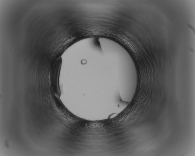 X0000094800546200712141655