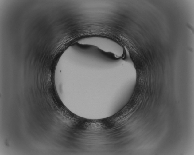 X0000094800548200712141655