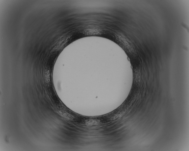 X0000094800549200712141655