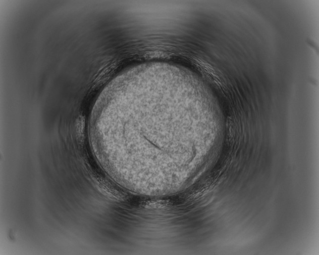 X0000094800550200712141655