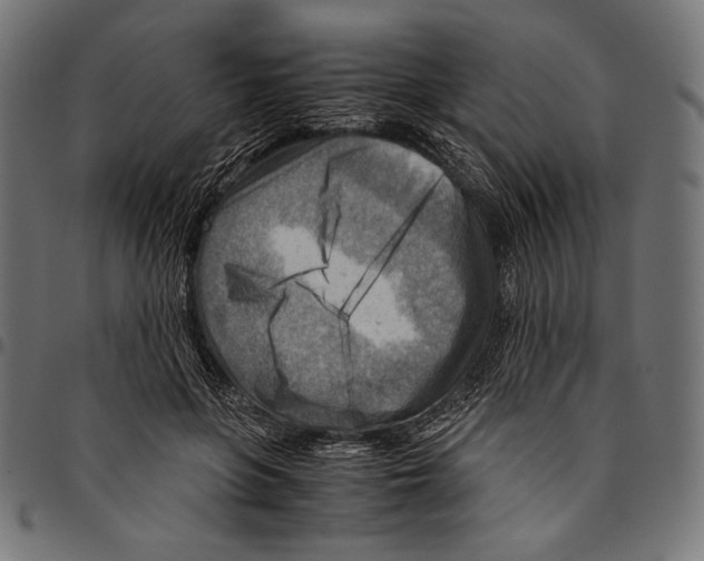 X0000094800551200712141655