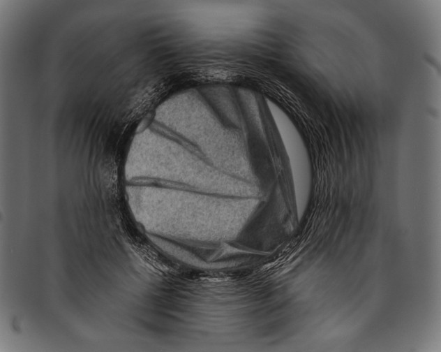 X0000094800552200712141655