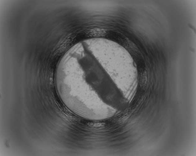 X0000094800553200712141655