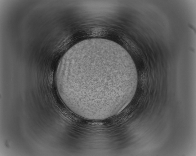X0000094800554200712141655