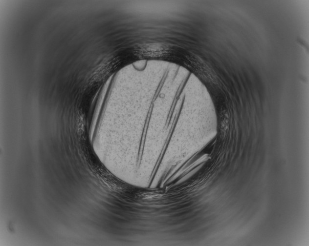 X0000094800555200712141655