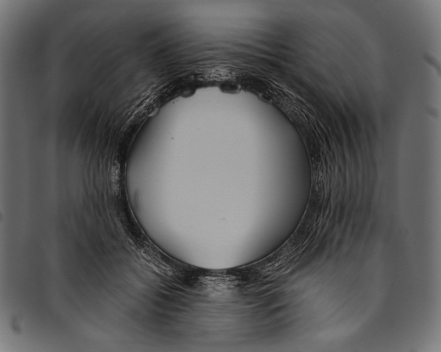 X0000094800556200712141655