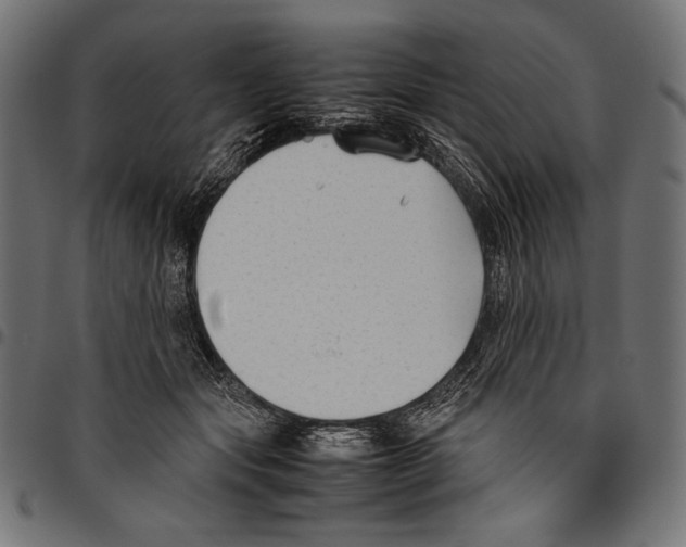 X0000094800557200712141655
