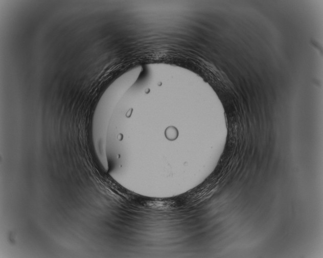 X0000094800558200712141655