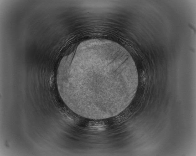 X0000094800559200712141655