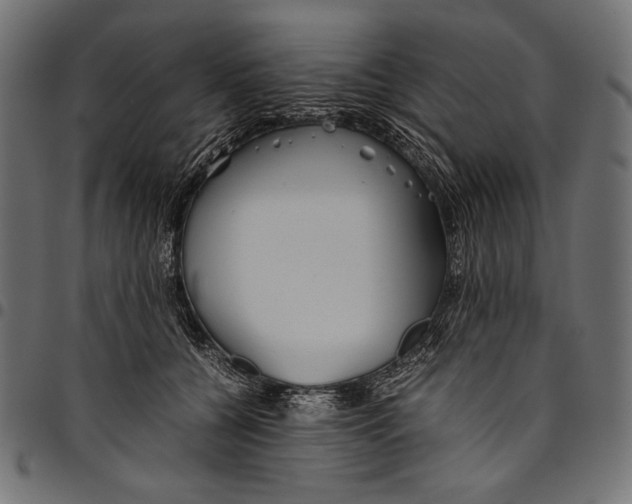 X0000094800560200712141655