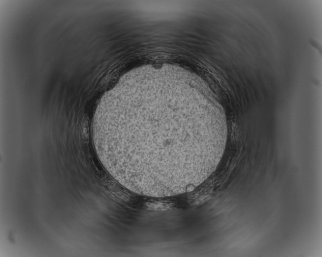 X0000094800561200712141655