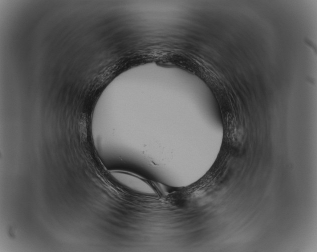 X0000094800562200712141655