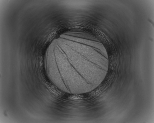 X0000094800563200712141655