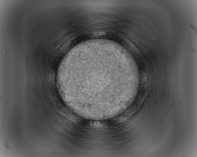 X0000094800565200712141655