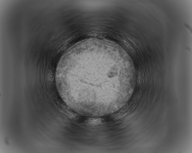 X0000094800569200712141655