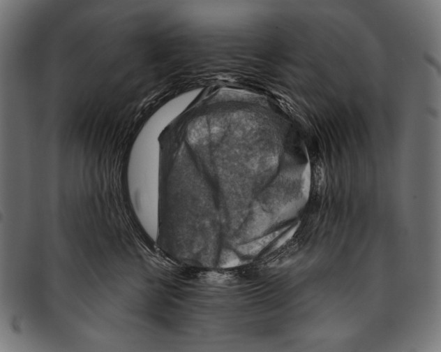X0000094800570200712141655