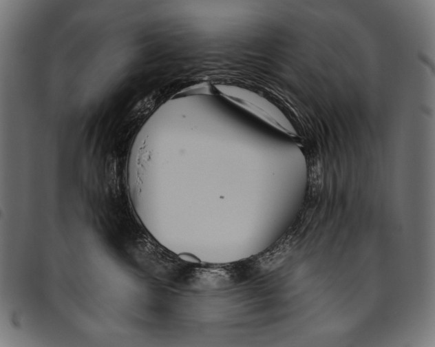X0000094800572200712141655