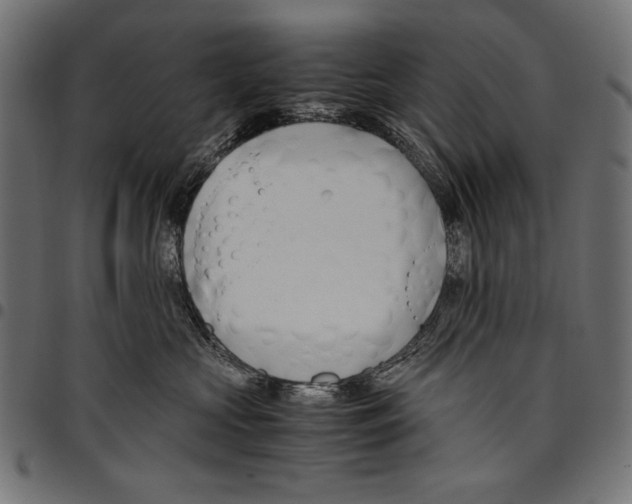 X0000094800573200712141655