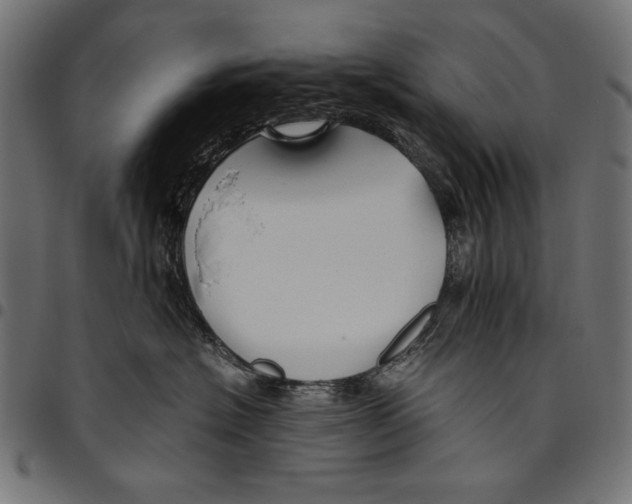 X0000094800574200712141655