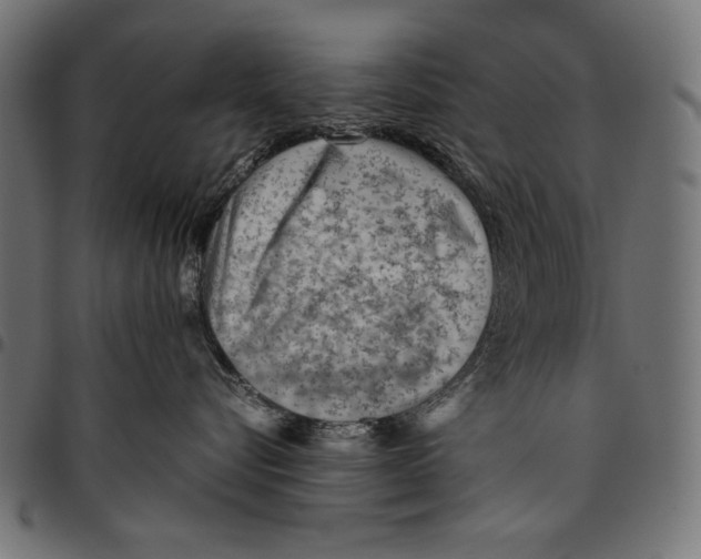X0000094800576200712141655