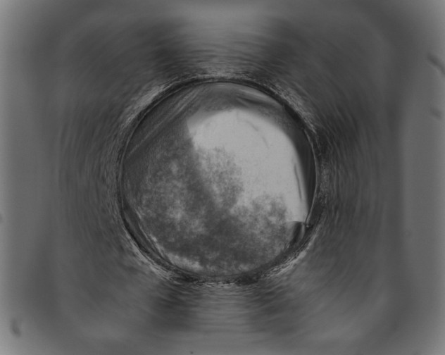 X0000094800577200712141654