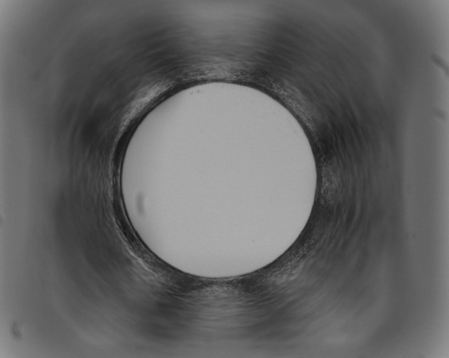 X0000094800578200712141654