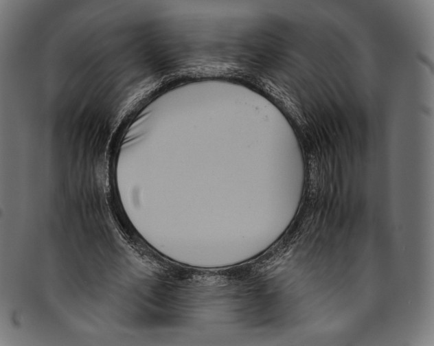 X0000094800582200712141654