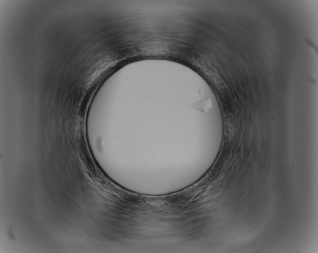 X0000094800583200712141654