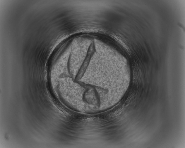 X0000094800584200712141654