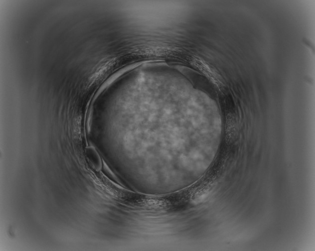 X0000094800585200712141654
