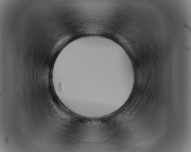 X0000094800586200712141654