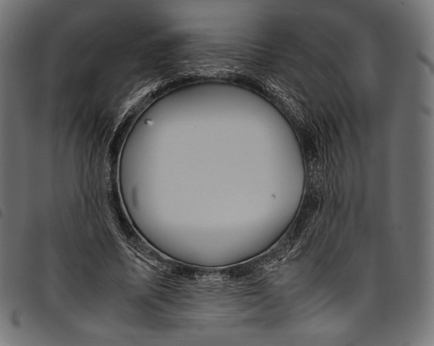X0000094800587200712141654