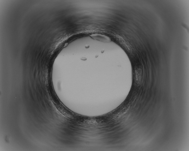 X0000094800588200712141654