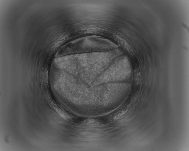 X0000094800589200712141654