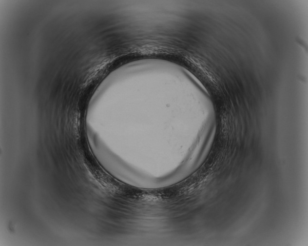 X0000094800592200712141654