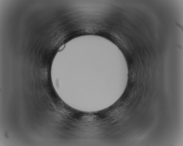 X0000094800595200712141654