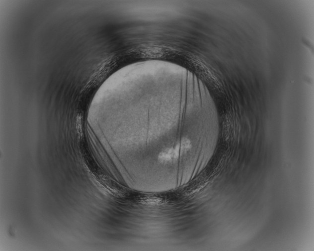 X0000094800598200712141654