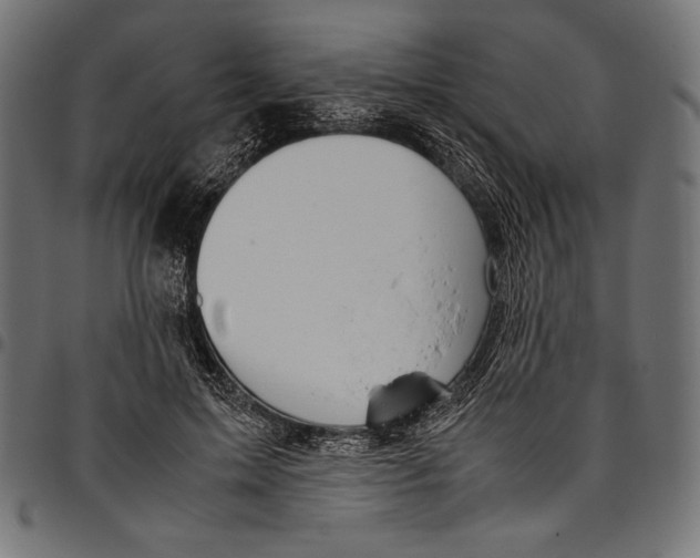 X0000094800599200712141654