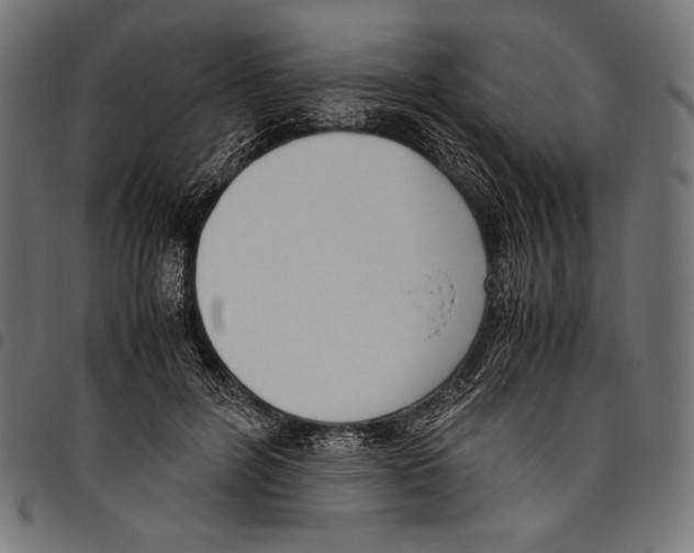 X0000094800600200712141654