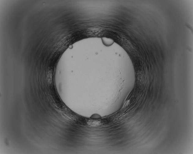 X0000094800602200712141654