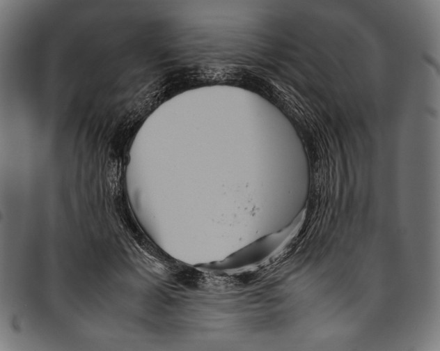 X0000094800605200712141654