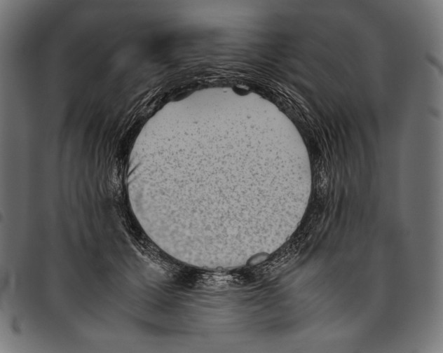 X0000094800607200712141654